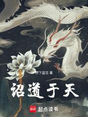 诏道于天境界