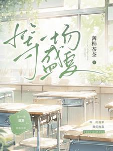 等待在盛夏