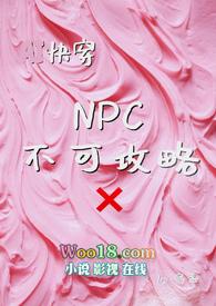 可以搞npc npc不反抗