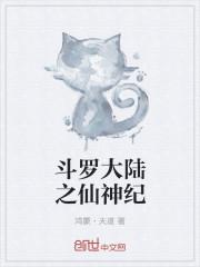 斗罗大陆之神位传承全本完结版