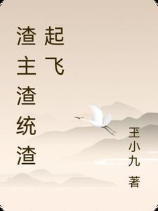 渣总是什么意思