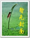 我的老婆是双胞胎花满楼