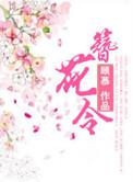 簪花令短剧免费观看全集剧情介绍