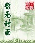 新大宋传奇