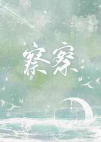 切切察察