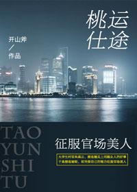 桃运仕途征服官场美人杨定