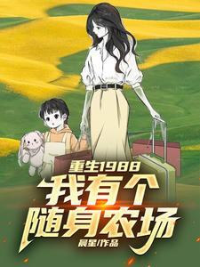 我的重生1988