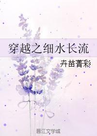 穿越之细水长流讲什么