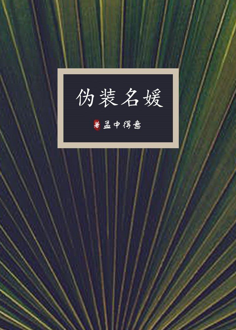 伪装名媛讲的什么