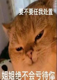 论女a与哨向的兼容性林与夜