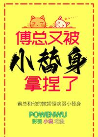 傅总又被小替身拿捏了by