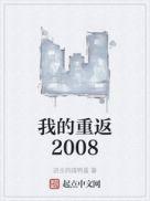 重返我的2008年