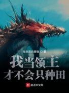 我当领主的那些年
