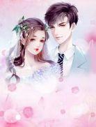 最强入赘女婿叶辰最新章节更新