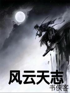 天下风云志