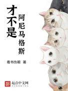 霍格沃茨学院真的是猫头鹰信件吗?