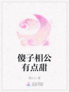 相公是傻子的