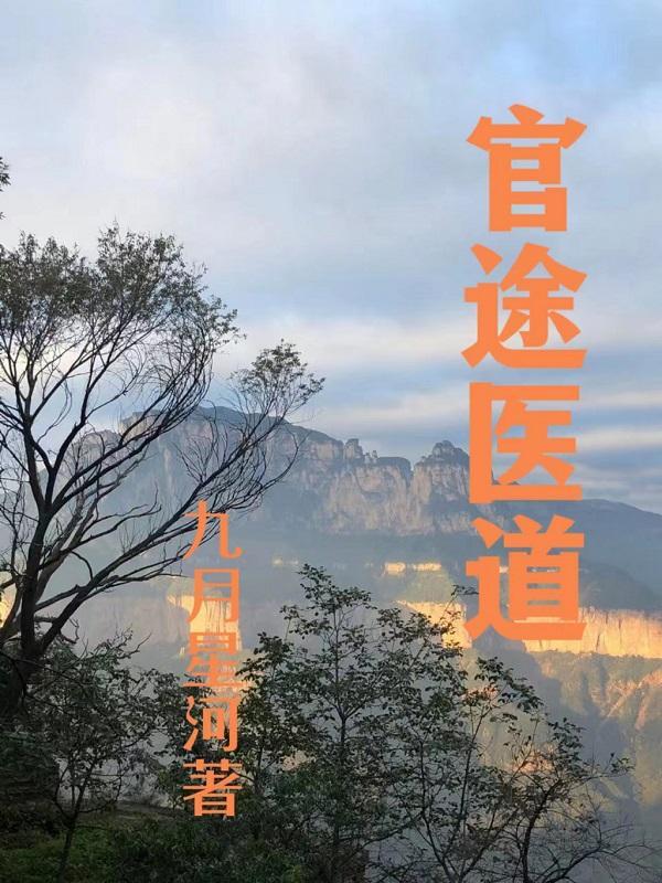 医道官途有