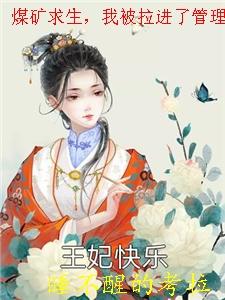 煤矿求生我被拉进了管理群