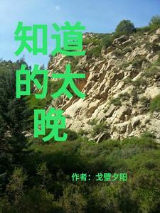 太晚才明白