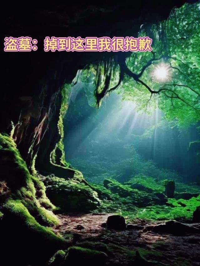 盗墓我一点也不坑