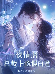 一夜情深总裁欺上瘾全文