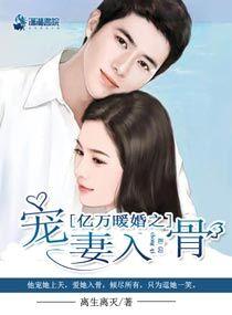 亿万宠婚之宠妻入骨