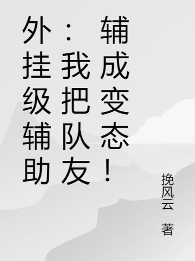 挂辅助器