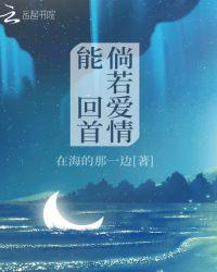 倘若爱情能回首 在海的那一边