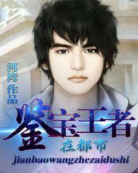 宝鉴王者在都市