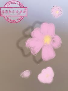 综影视之旁观者清全文免费阅读