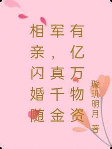 相亲闪婚的军婚