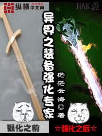 异世之装备强化专家免费阅读
