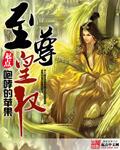 至尊皇权笔趣阁