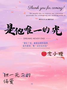 唯一的光是什么意思