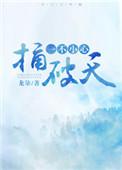 一不小心捅破天txy