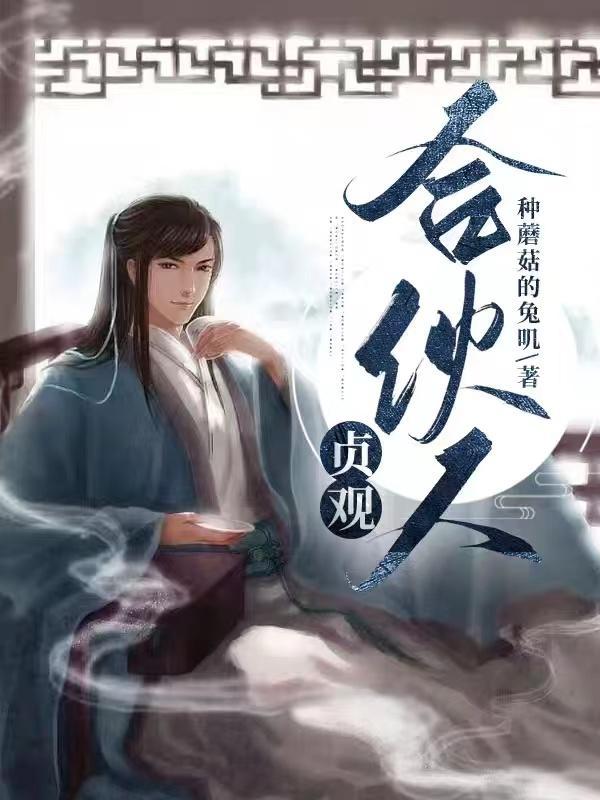 贞观啥意思