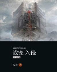战宠入侵txt