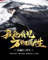 我能看见万物属性陈青衣