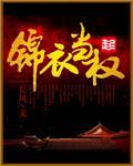 锦衣当官