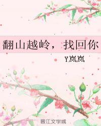翻山越岭找到你是什么歌