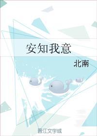 安知我意 北南讲的什么