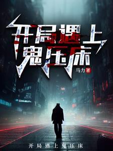 暗夜守护者最后的英雄 电影