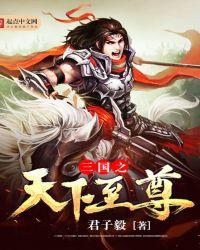 三国之天下至尊百度百科