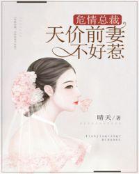 天价前妻夫人不好追全文免费阅读