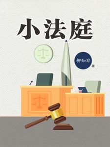 小法庭判决输了之后可以客服介入