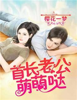 首长老公萌萌哒又名