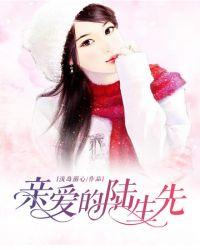 亲爱的陆先生好看吗