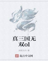 真三国无双ol贴吧