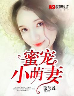 豪门暖婚新妻